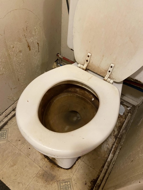 Student Apartment Toilet